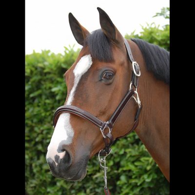 Dy'on Working Collection Leather Headcollar