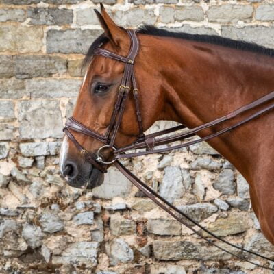 Dy'on Full Leather Draw Reins
