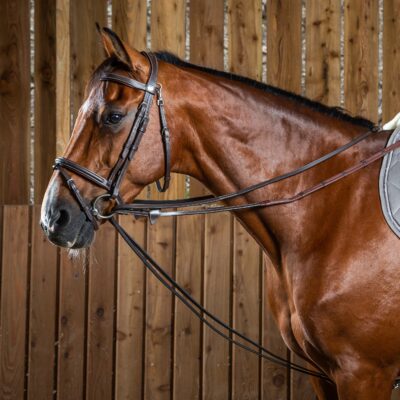 Dy'on Working Collection Full Leather Draw Reins
