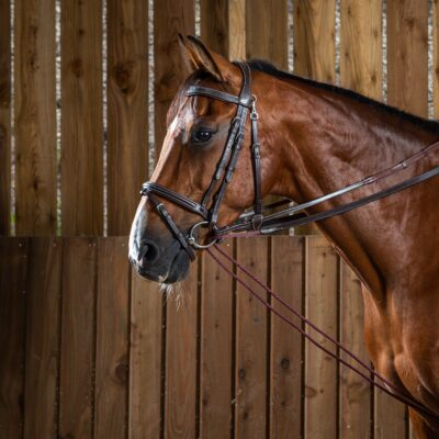 Dy'on Working Collection Half Rope Draw Reins