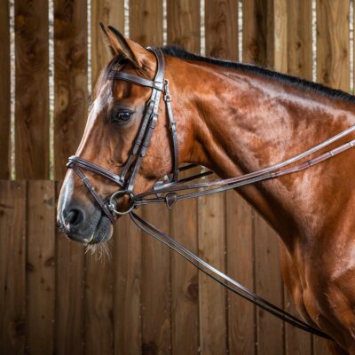 Dy'on Working Collection Hunter Draw Reins