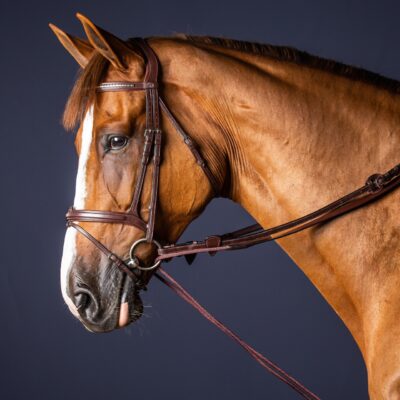 Dy'on New English Collection Half Rope Draw Reins