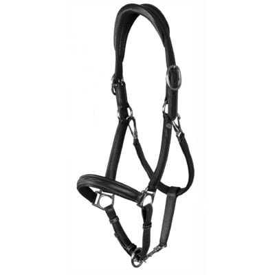 Dy'on Working Collection 2-in-1 Transport & Grooming Headcollar