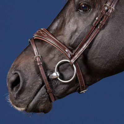 Dy'on US Collection Anatomic Flash Noseband