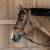 Dy'on Working Flash Bridle with Snaps