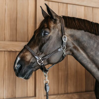 Dy'on Working Plaited Headcollar