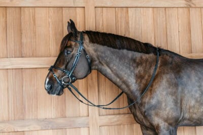 Dy'on Working Collection Rolled Leather Bridle 2