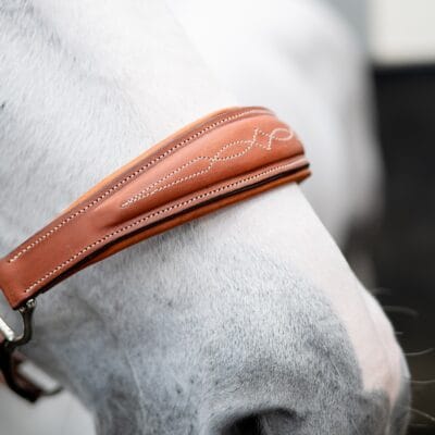Butet Leather Headcollar (2)