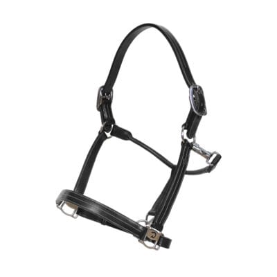 Dy'on Working US Leather Headcollar Black